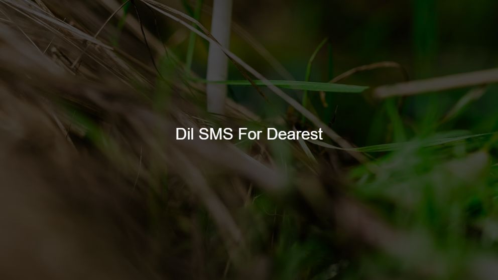 Best 75 Dil SMS For Dearest