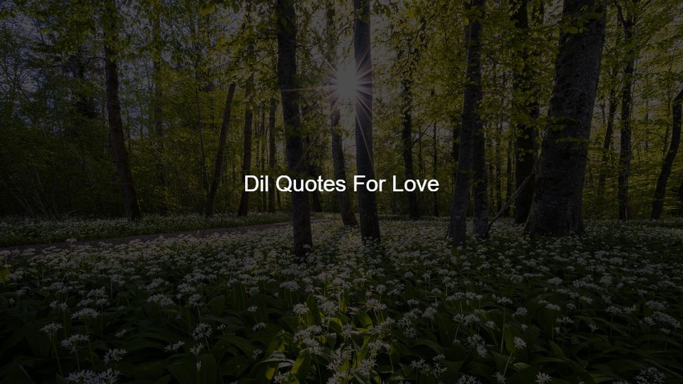 Best 400 Dil Quotes For Love
