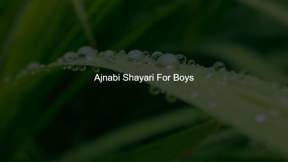 Top 125 Ajnabi Shayari For Boys