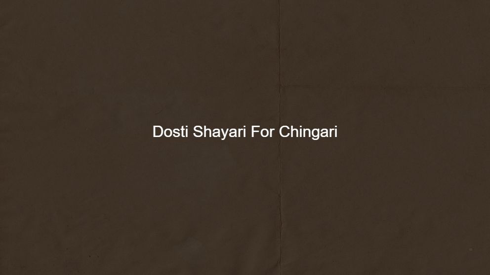Latest 400 Dosti Shayari For Chingari