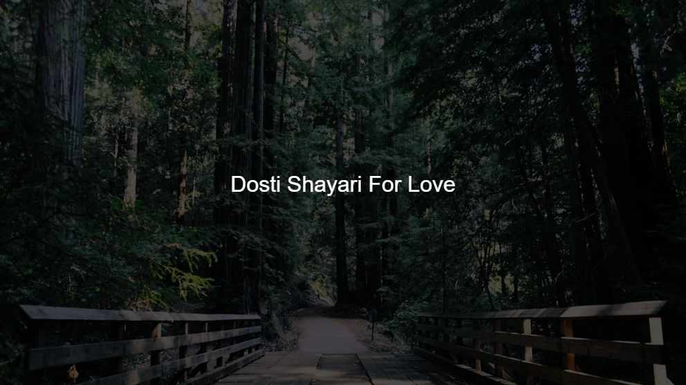 Best 425 Dosti Shayari For Love