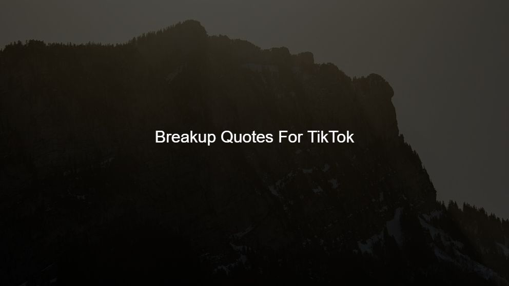 Latest 475 Breakup Quotes For TikTok