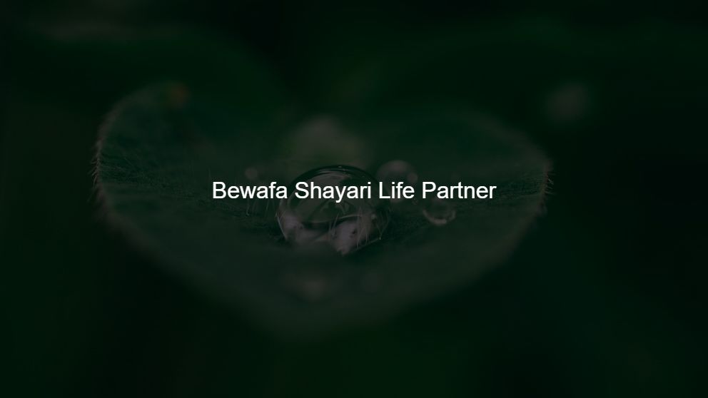 Latest 375 Bewafa Shayari Life Partner