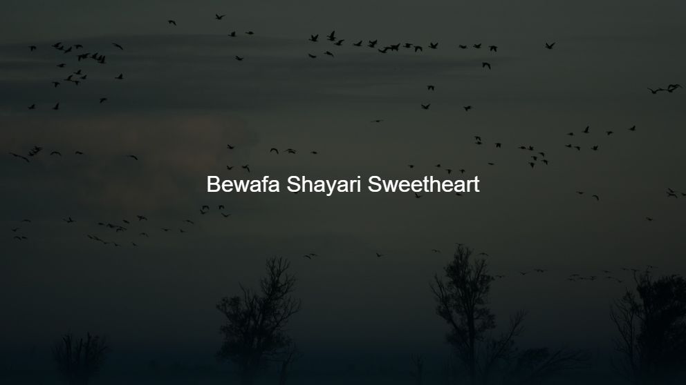 Best 225 Bewafa Shayari Sweetheart