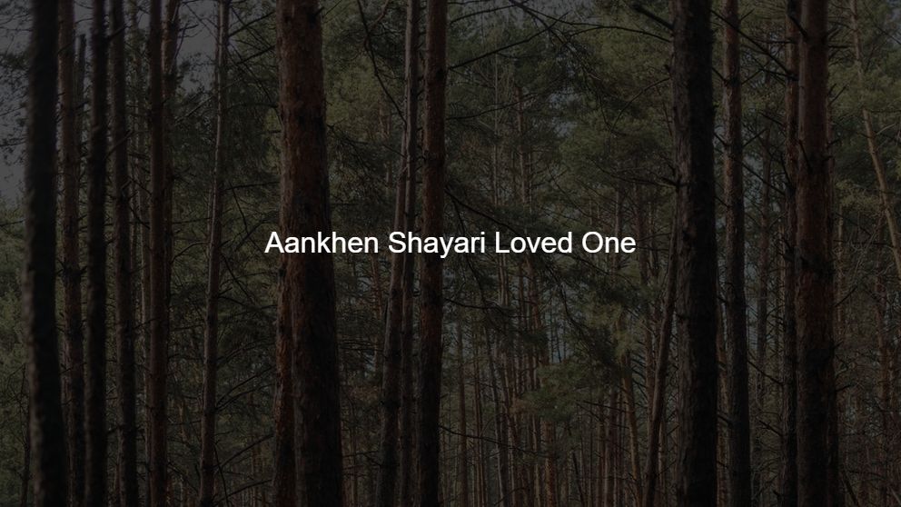 Best 425 Aankhen Shayari Loved One