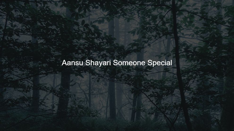 Top 300 Aansu Shayari Someone Special