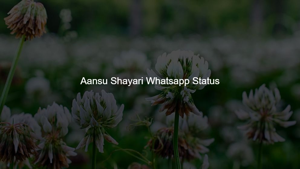 Top 75 Aansu Shayari Whatsapp Status