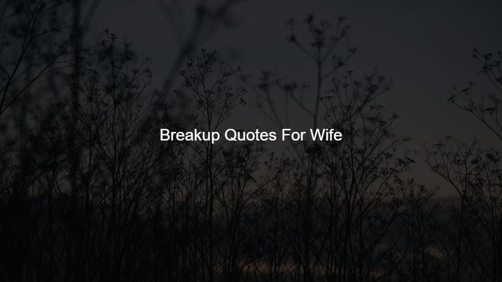 Best 250 Breakup Quotes For Wife