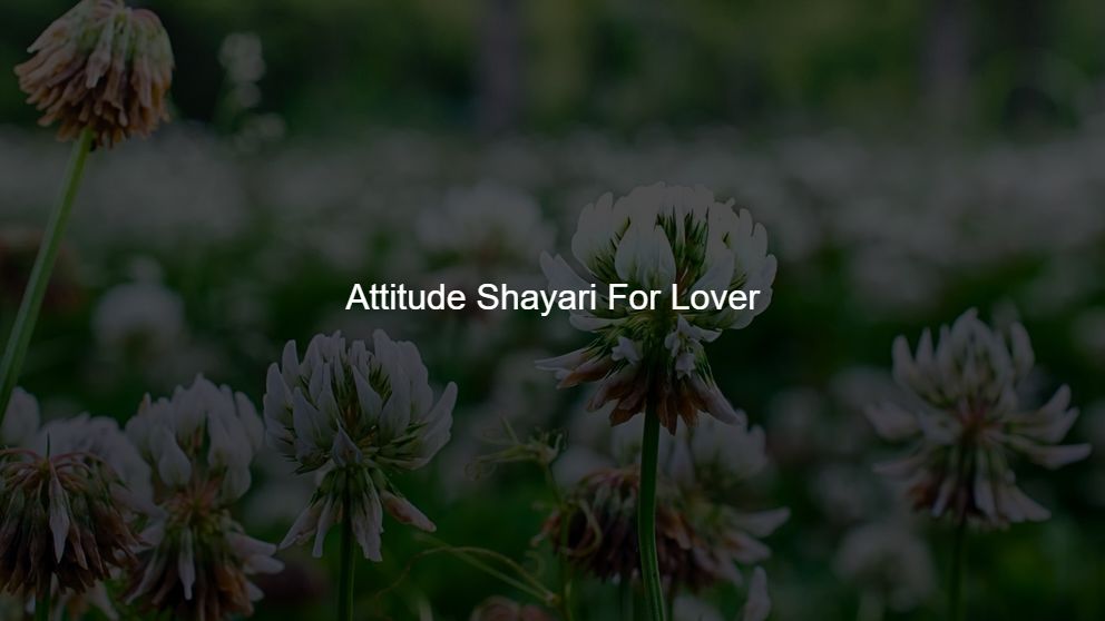 Latest 475 Attitude Shayari For Lover