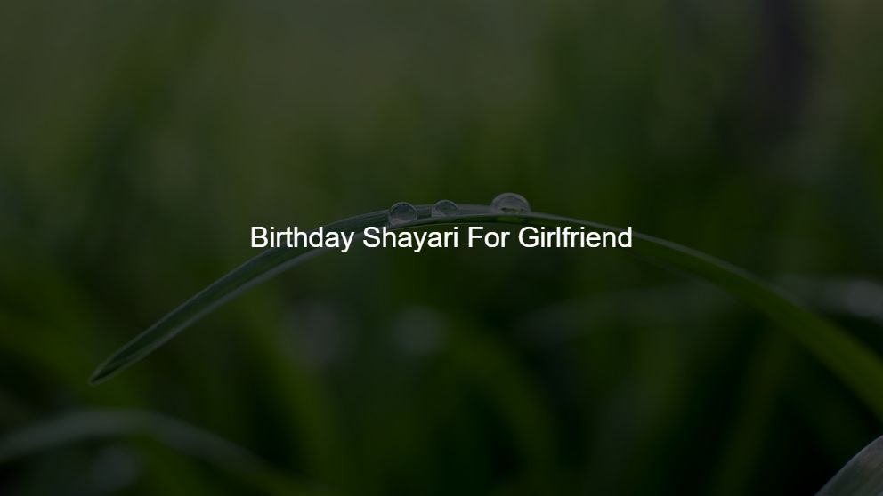 funny birthday shayari for best friend in hindi