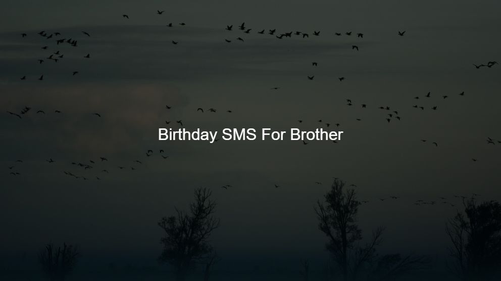 funny birthday sms for sister