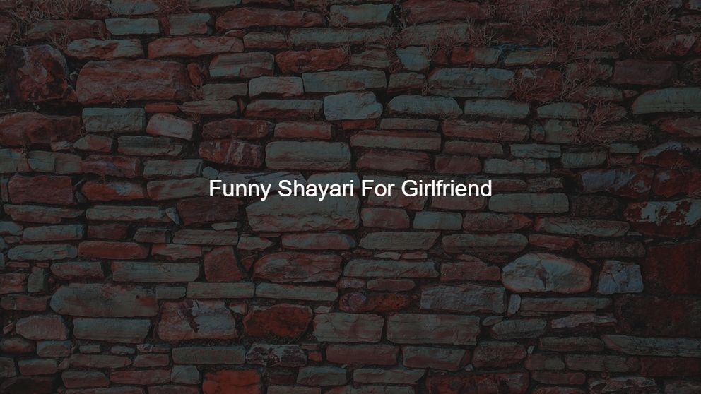 funny friendship shayari