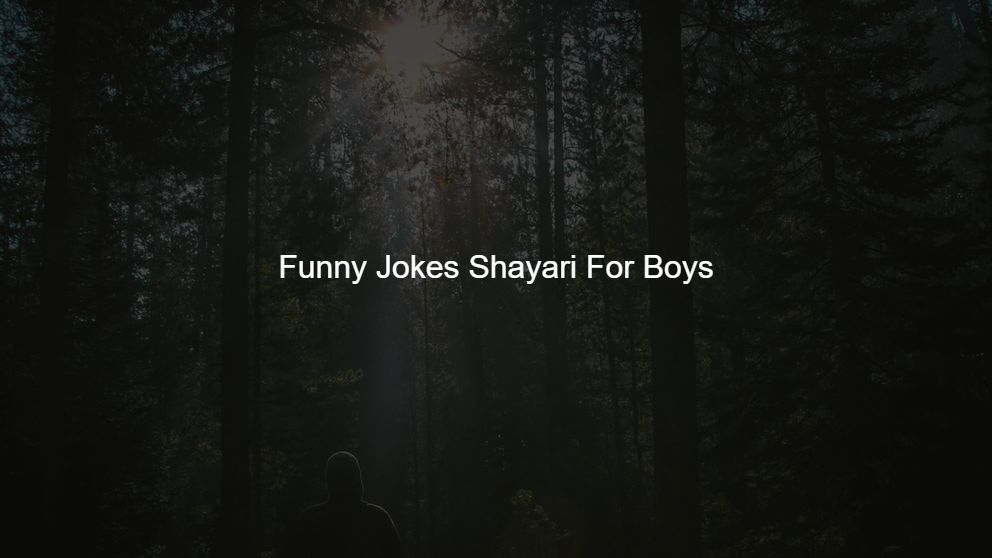 funny joke shayari english