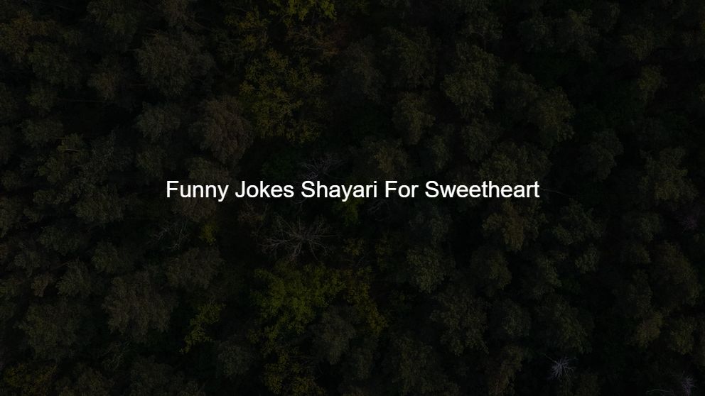 Best 10 Funny Jokes Shayari For Sweetheart