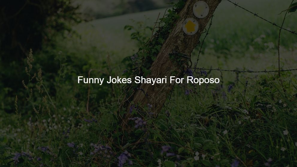 Top 300 Funny Jokes Shayari For Roposo