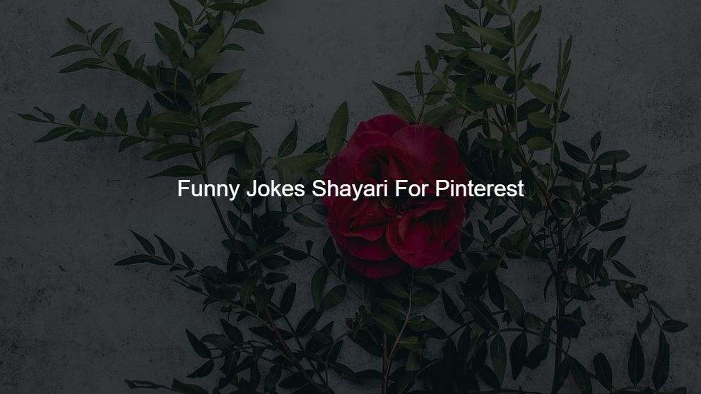 Latest 275 Funny Jokes Shayari For Pinterest