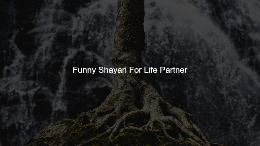 funny love shayari for boyfriend