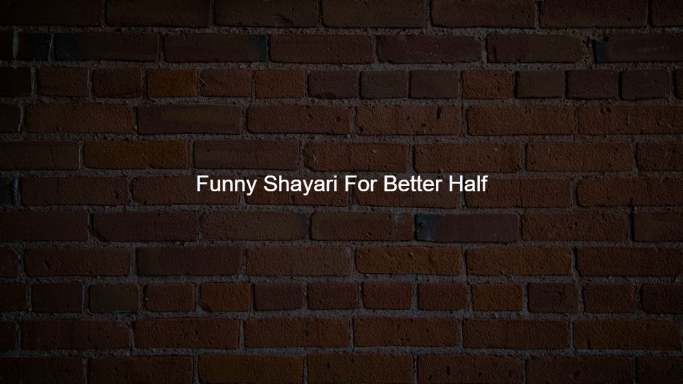 funny shayari for boyfriend