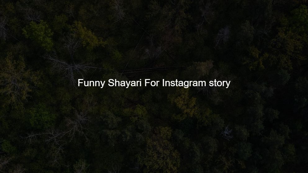 Top 10 Funny Shayari For Instagram story