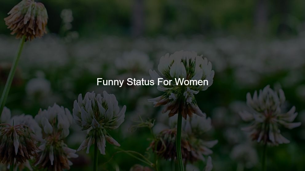 Best 300 Funny Status For Women