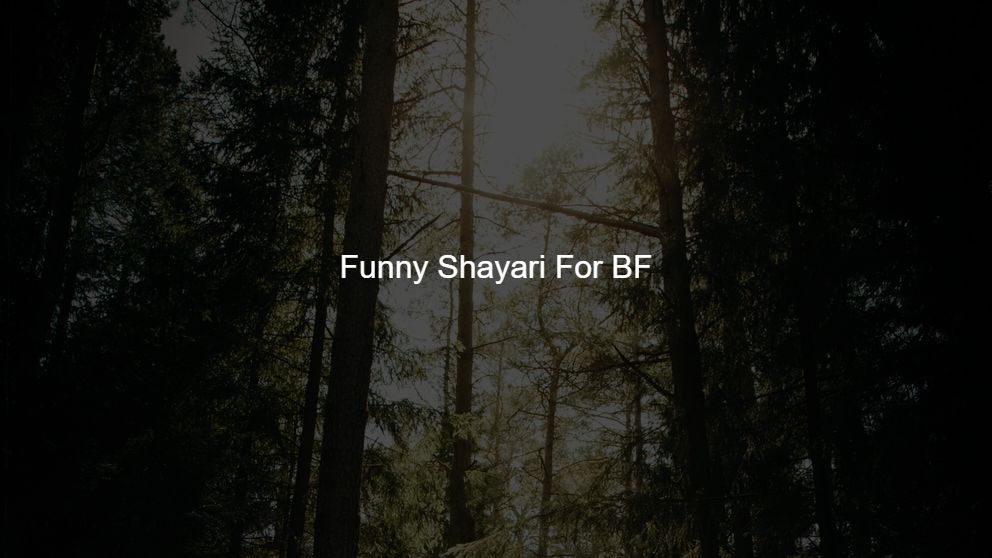 funny tareef shayari for friend