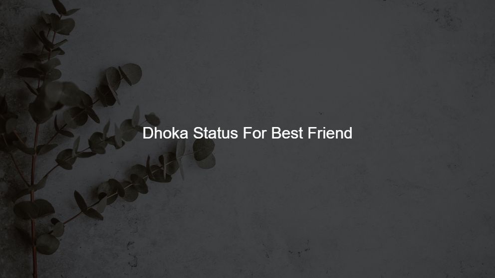 Top 300 Dhoka Status For Best Friend