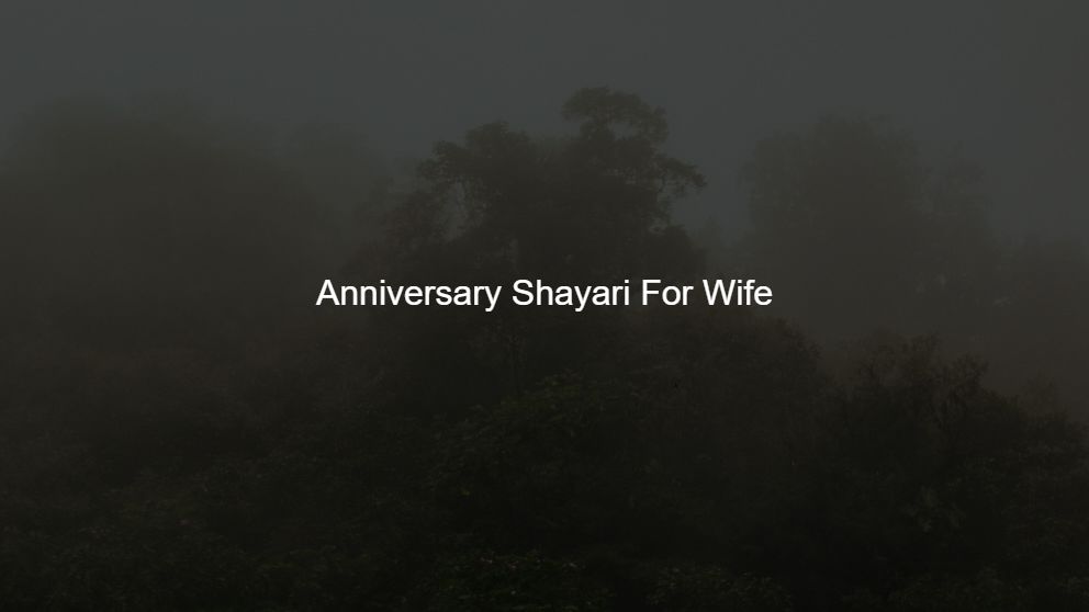 Top 425 Anniversary Shayari For Wife