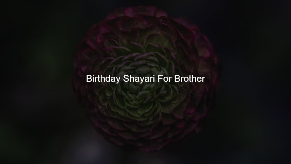 Best 400 Birthday Shayari For Brother
