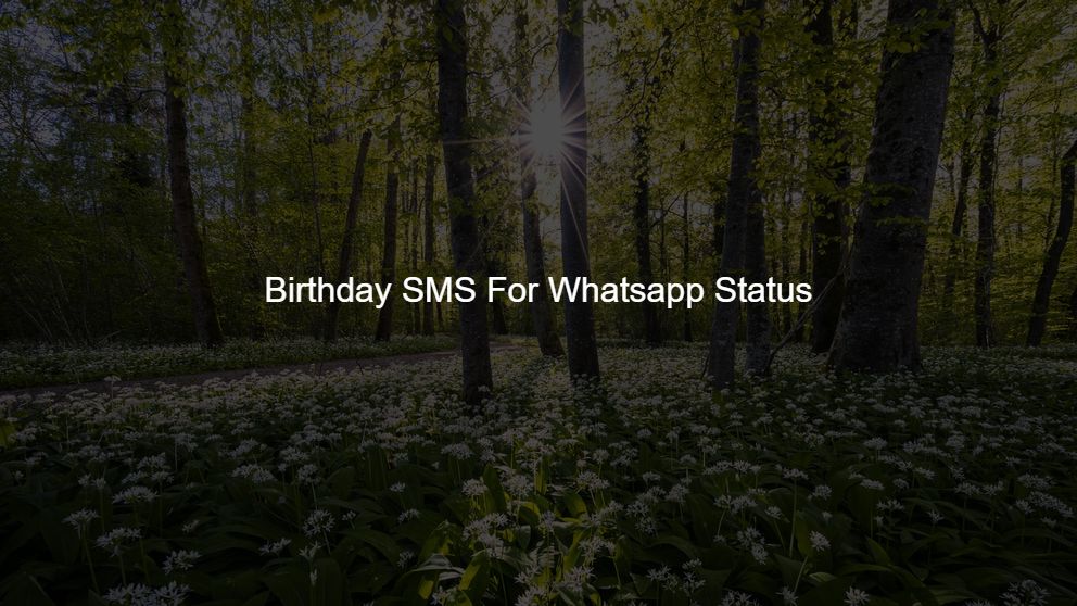 Latest 10 Birthday SMS For Whatsapp Status