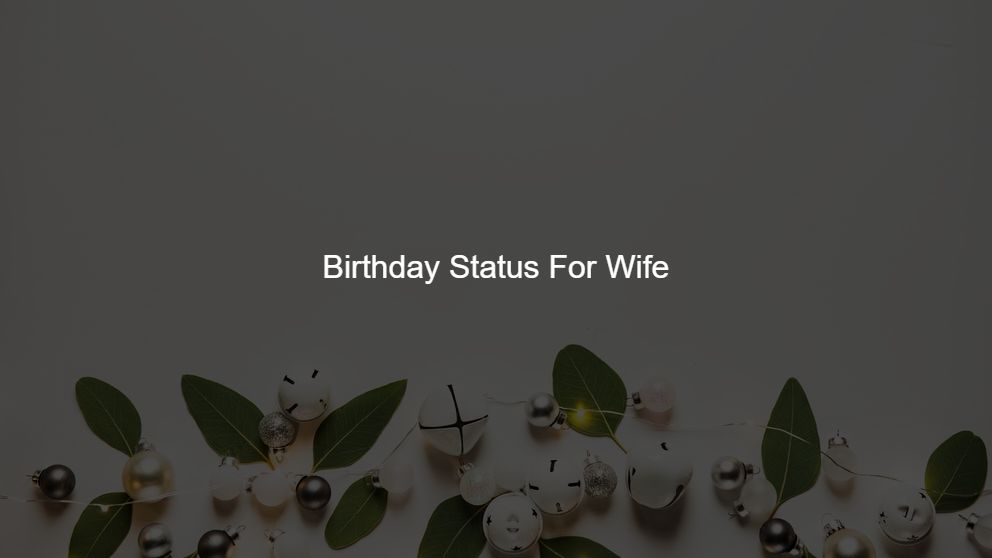 Best 225 Birthday Status For Wife