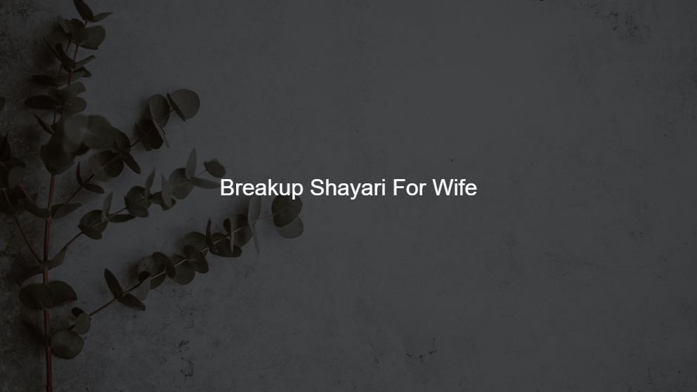 Best 350 Breakup Shayari For Wife