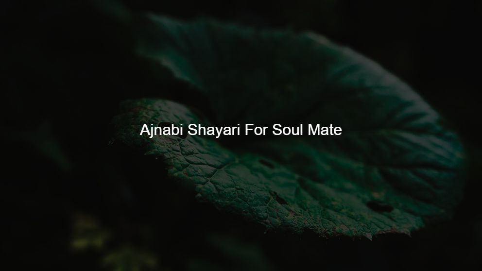 Top 450 Ajnabi Shayari For Soul Mate