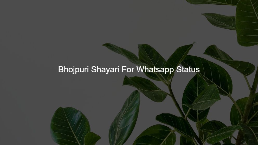 love shayari in bhojpuri