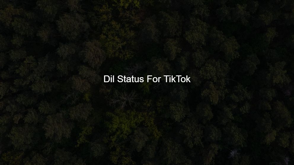 Best 225 Dil Status For TikTok