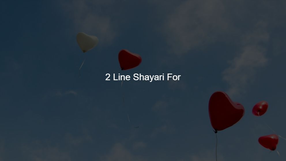 punjabi love shayari 2 lines