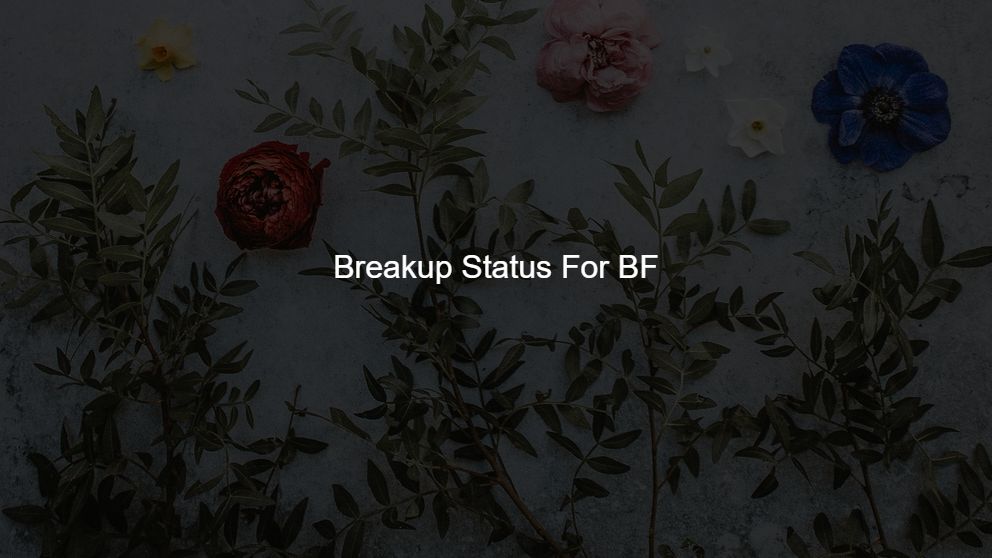 Best 425 Breakup Status For BF