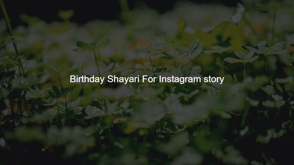 shayari for birthday girl