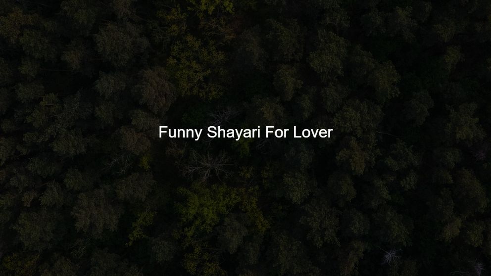 Best 425 Funny Shayari For Lover