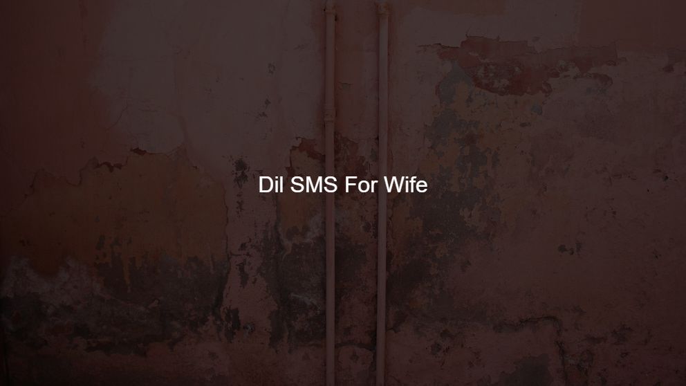 Best 275 Dil SMS For Wife