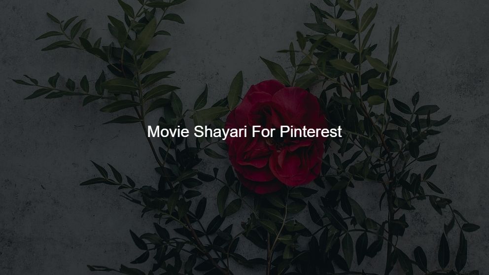 Best 200 Movie Shayari For Pinterest