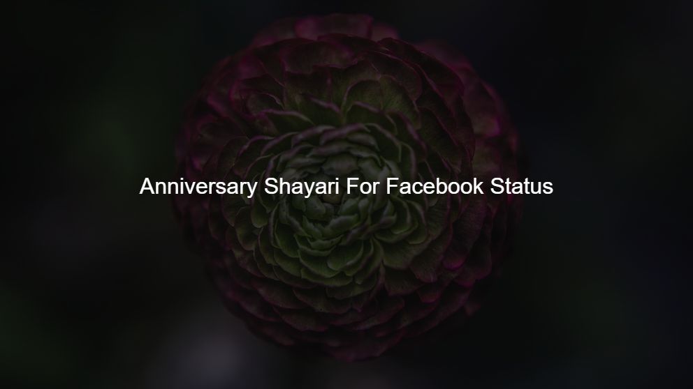 Top 275 Anniversary Shayari For Facebook Status