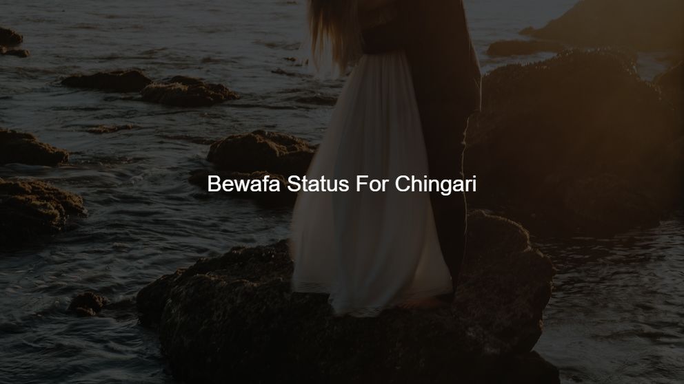 Best 50 Bewafa Status For Chingari