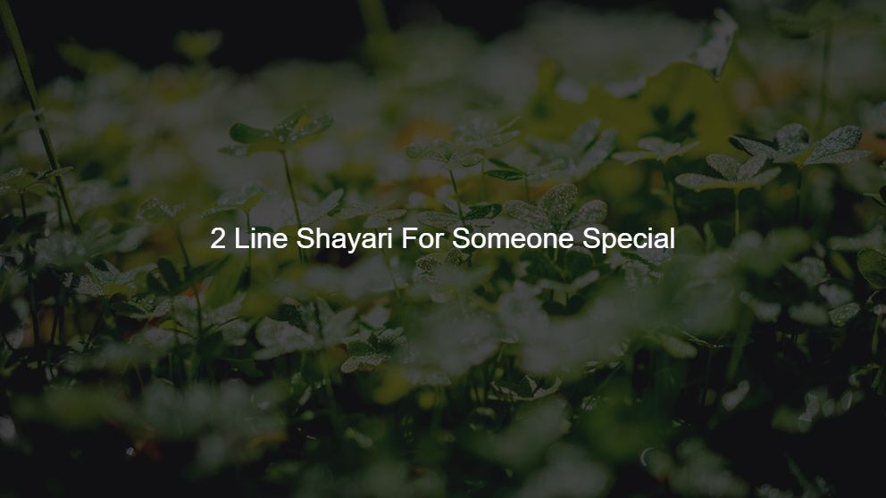 Best 250 2 Line Shayari For Someone Special