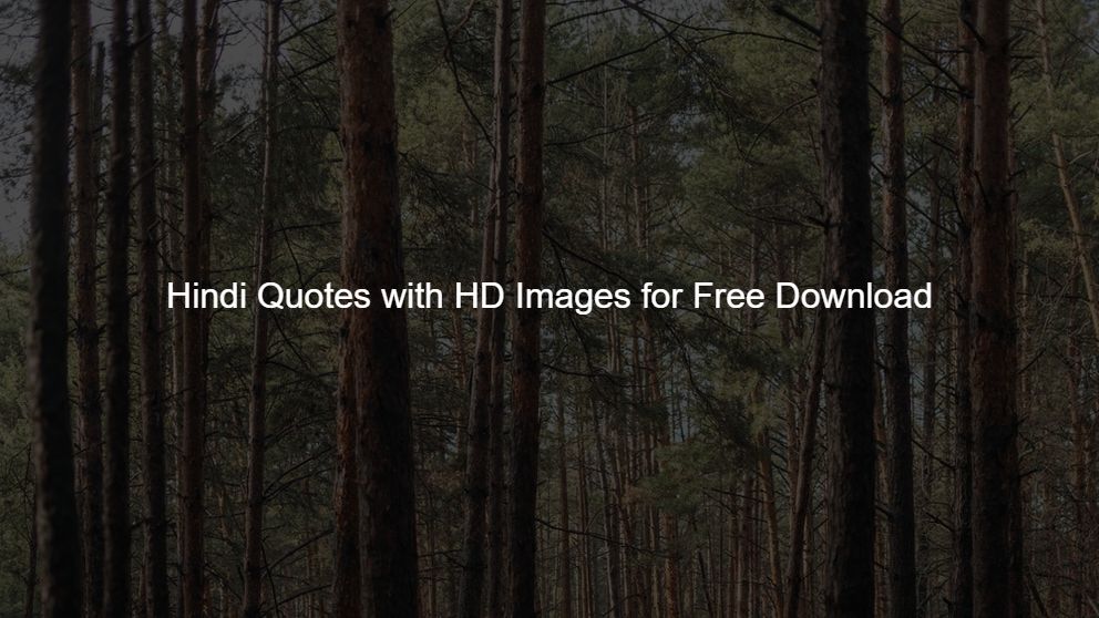 Best 425 Hindi Quotes with HD Images for Free Download